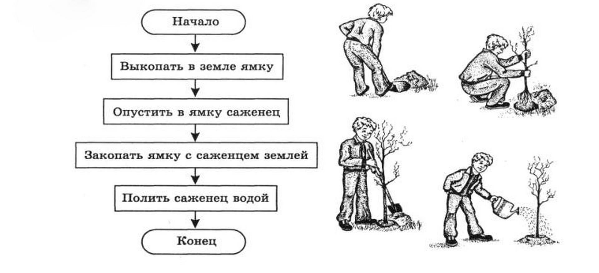 Форма шестиугольник для сборки торта