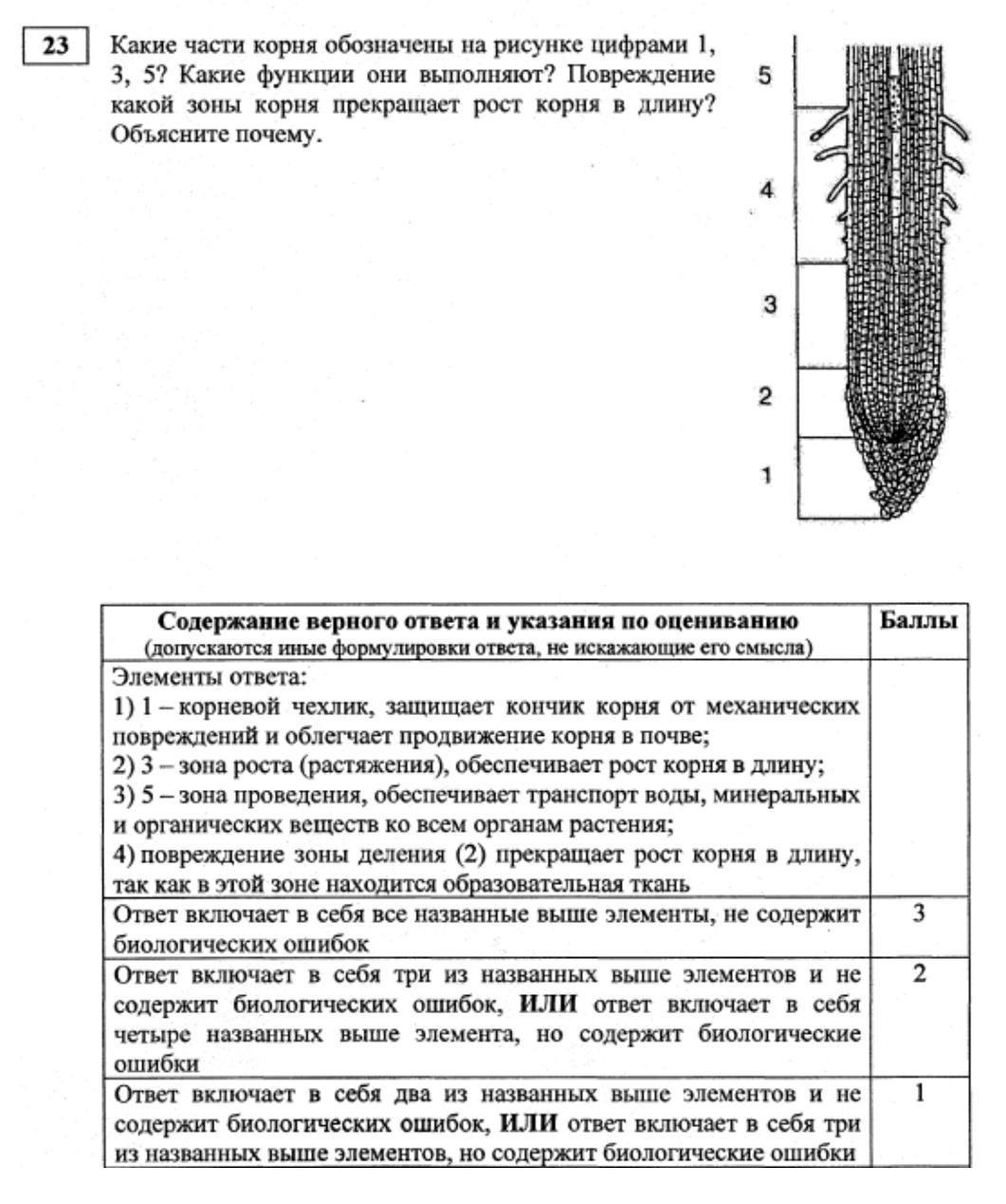 ЭПИГРАФИКА