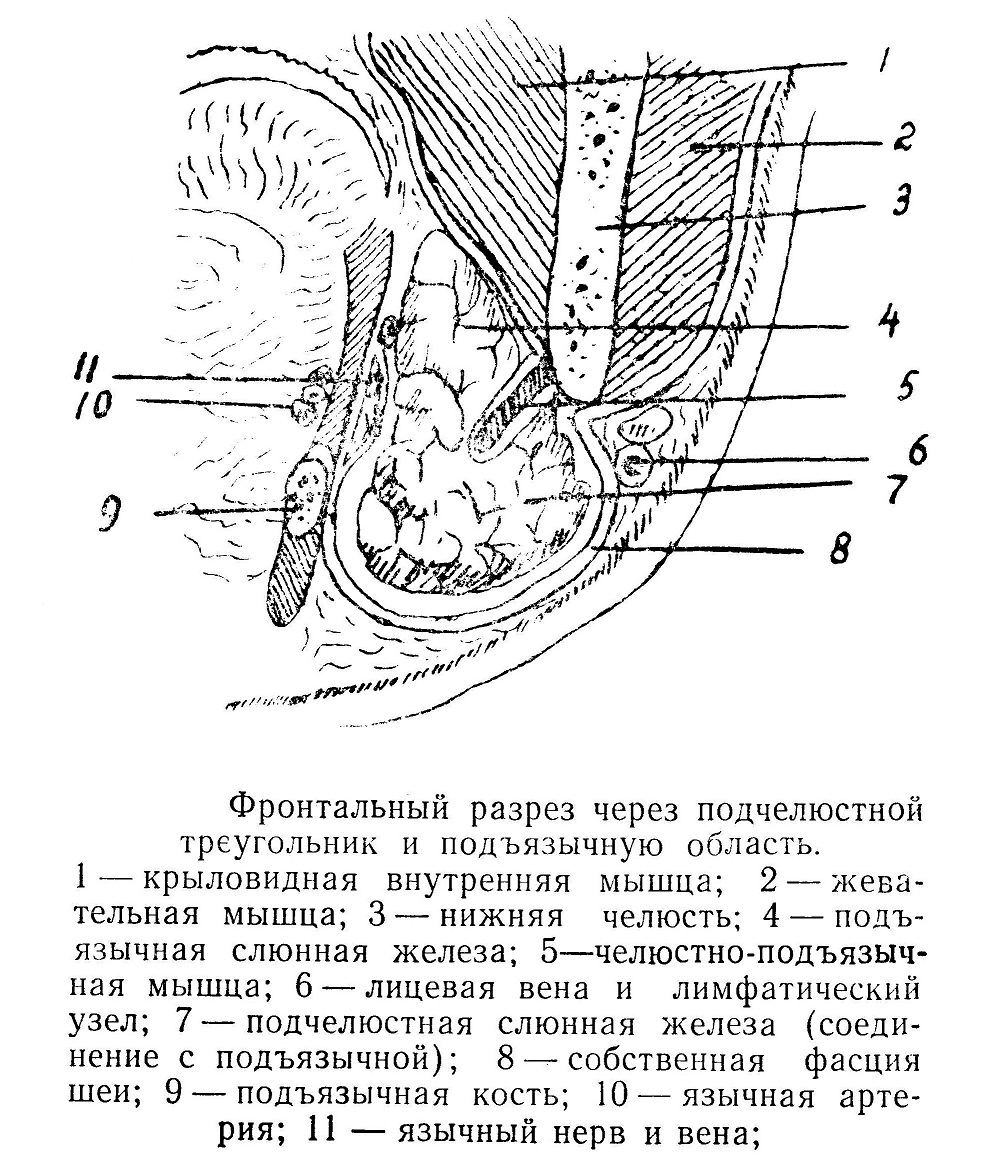 Скрещенные руки рисунок 