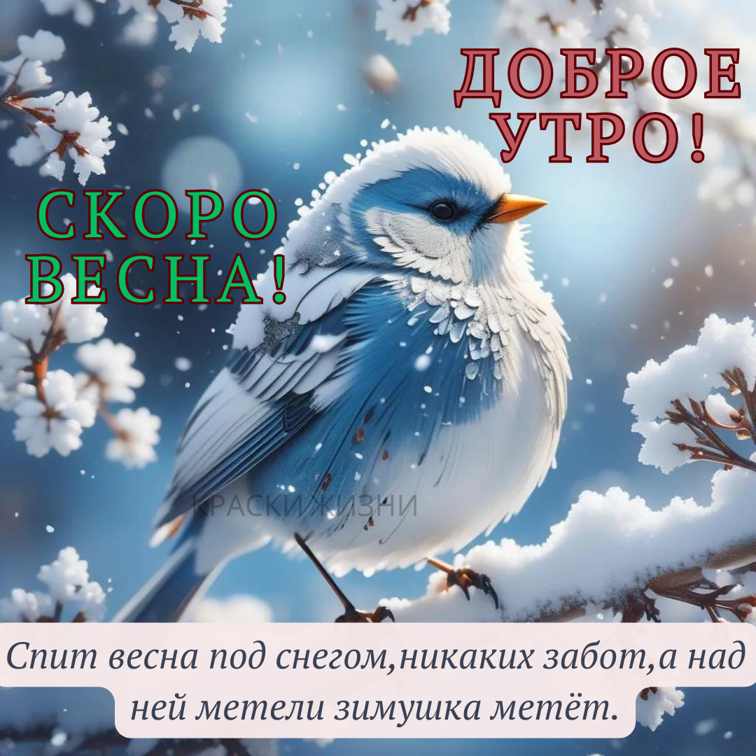 Открытки Доброго новбрьского утра! 