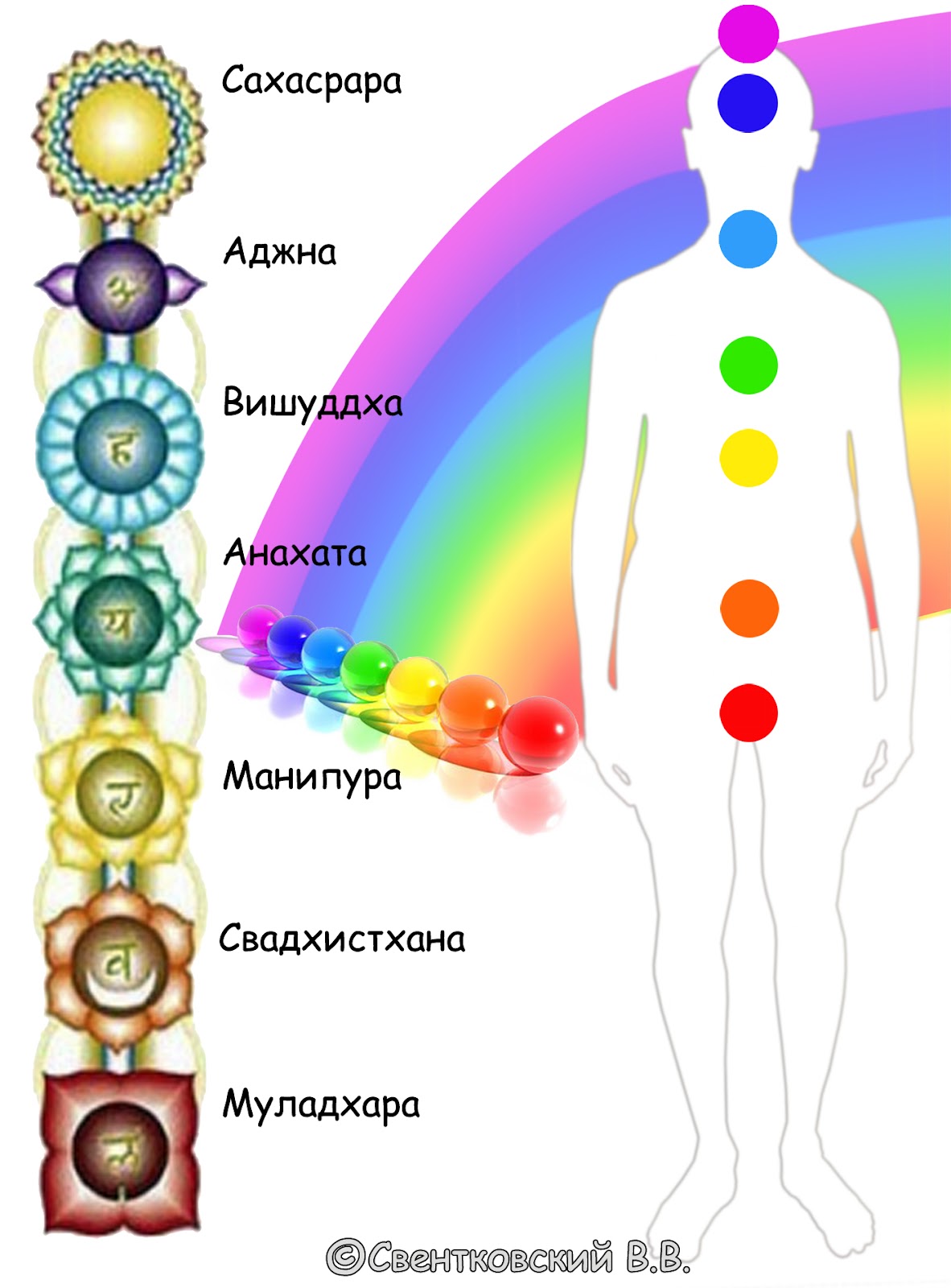 Чакры. Чакральная система человека