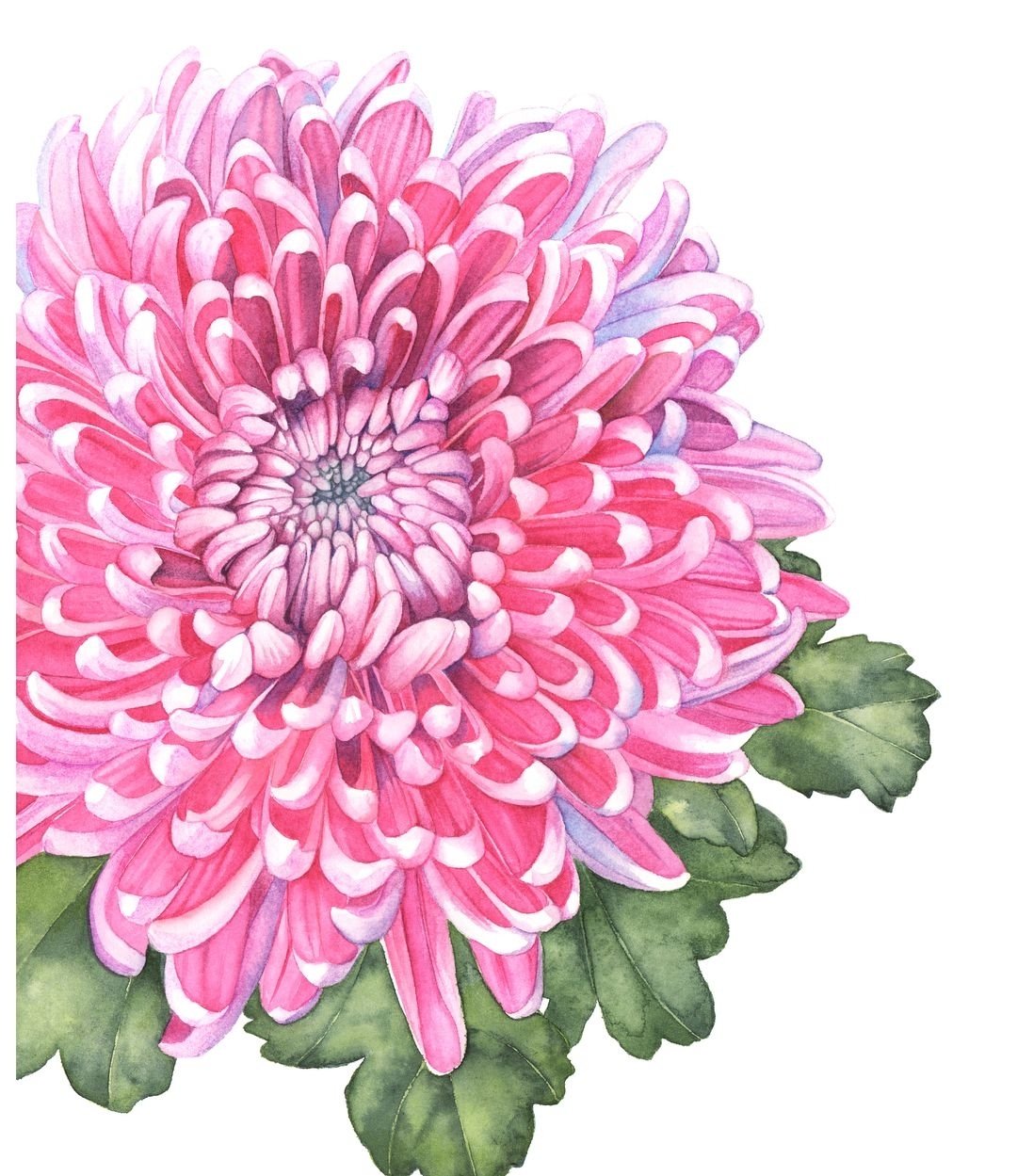 How to draw flowers step by step. Bouquet of flowers. Asters