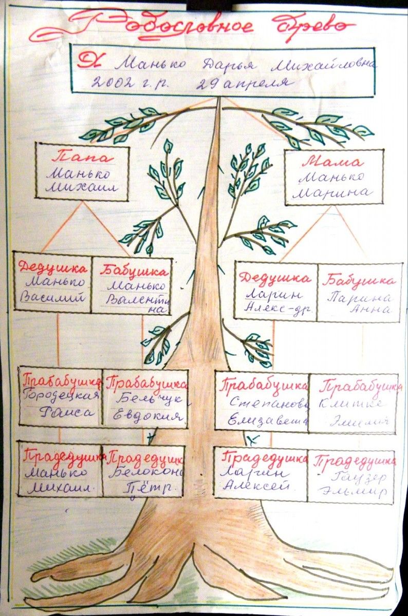 Дерево рисунок мультфильм, дерево, лицо