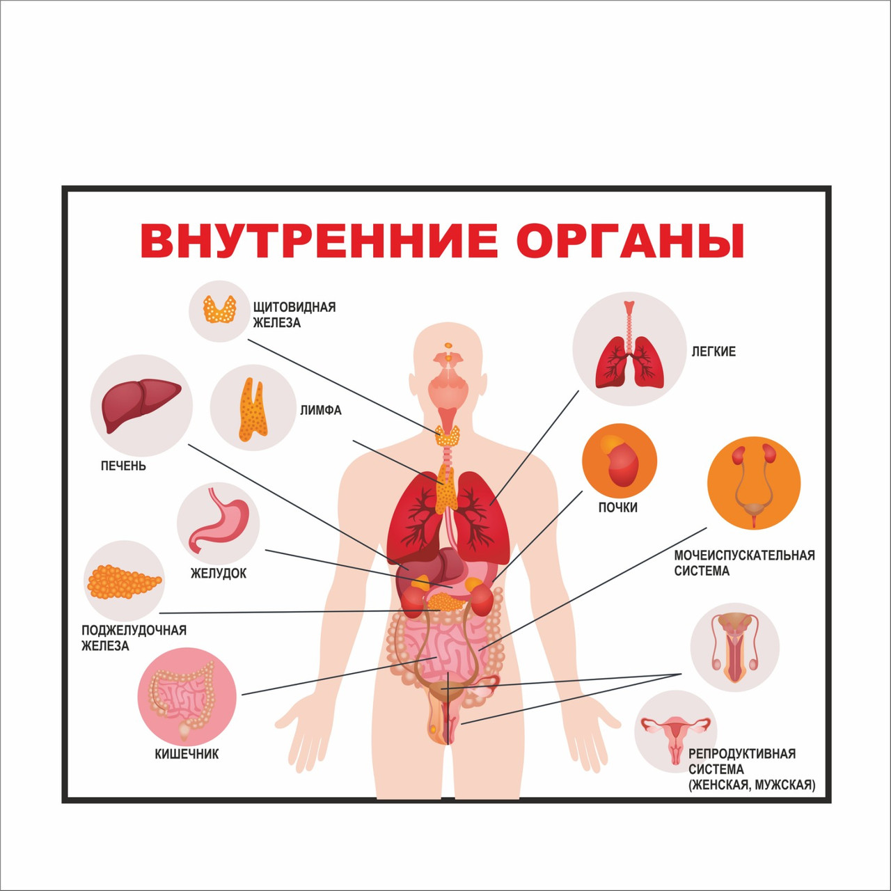 Дидактическая игра