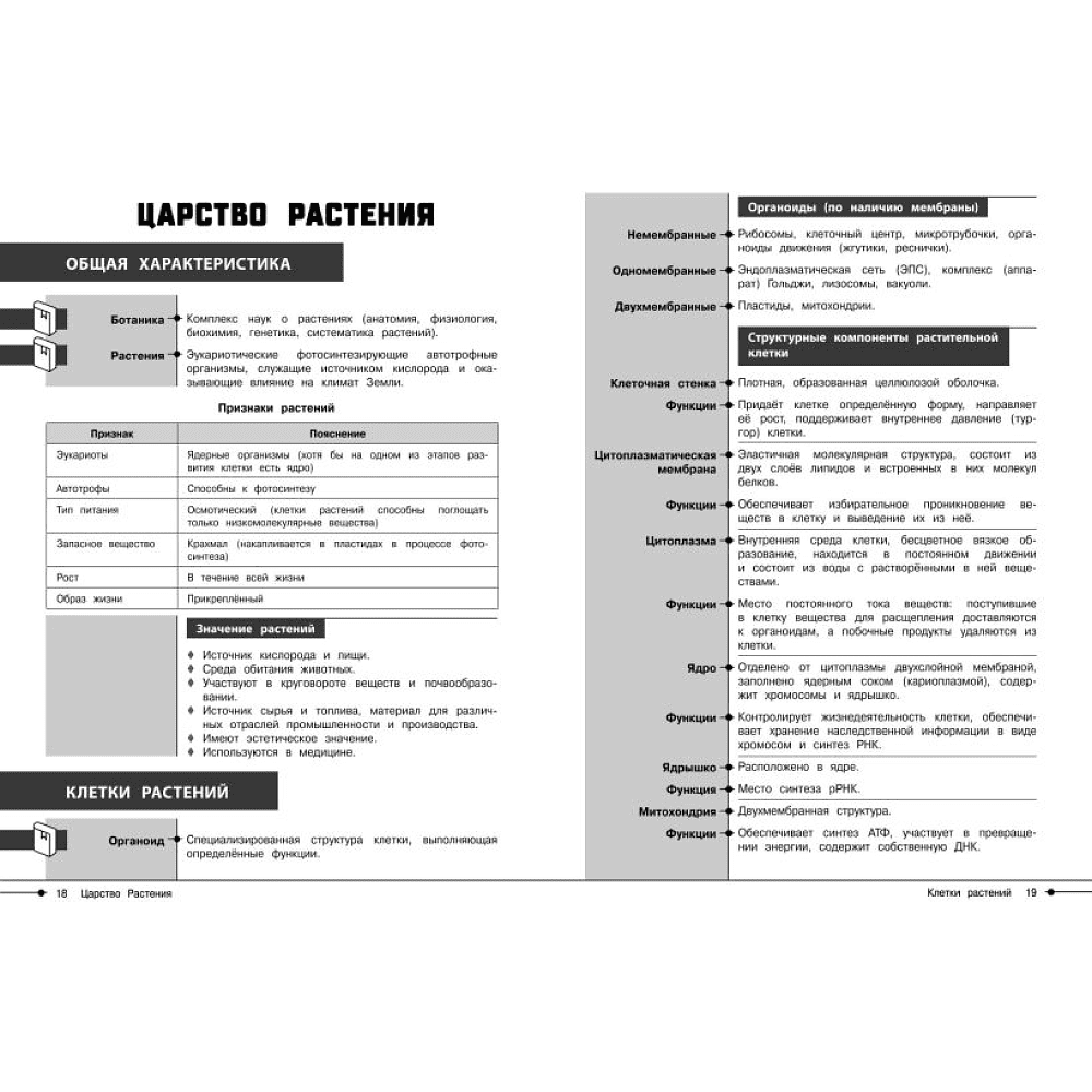 Методическая разработка Мембранные структуры клетки