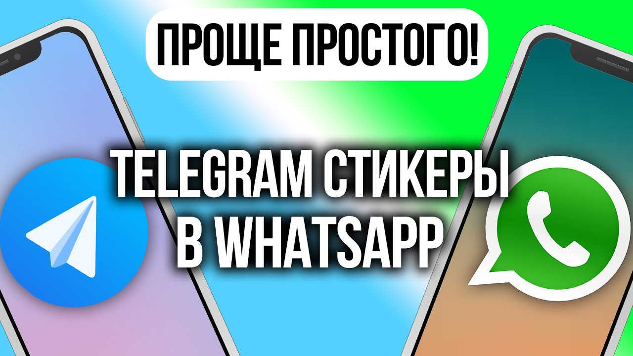 Как создать стикеры для WhatsApp на ПК, iPhone и Android