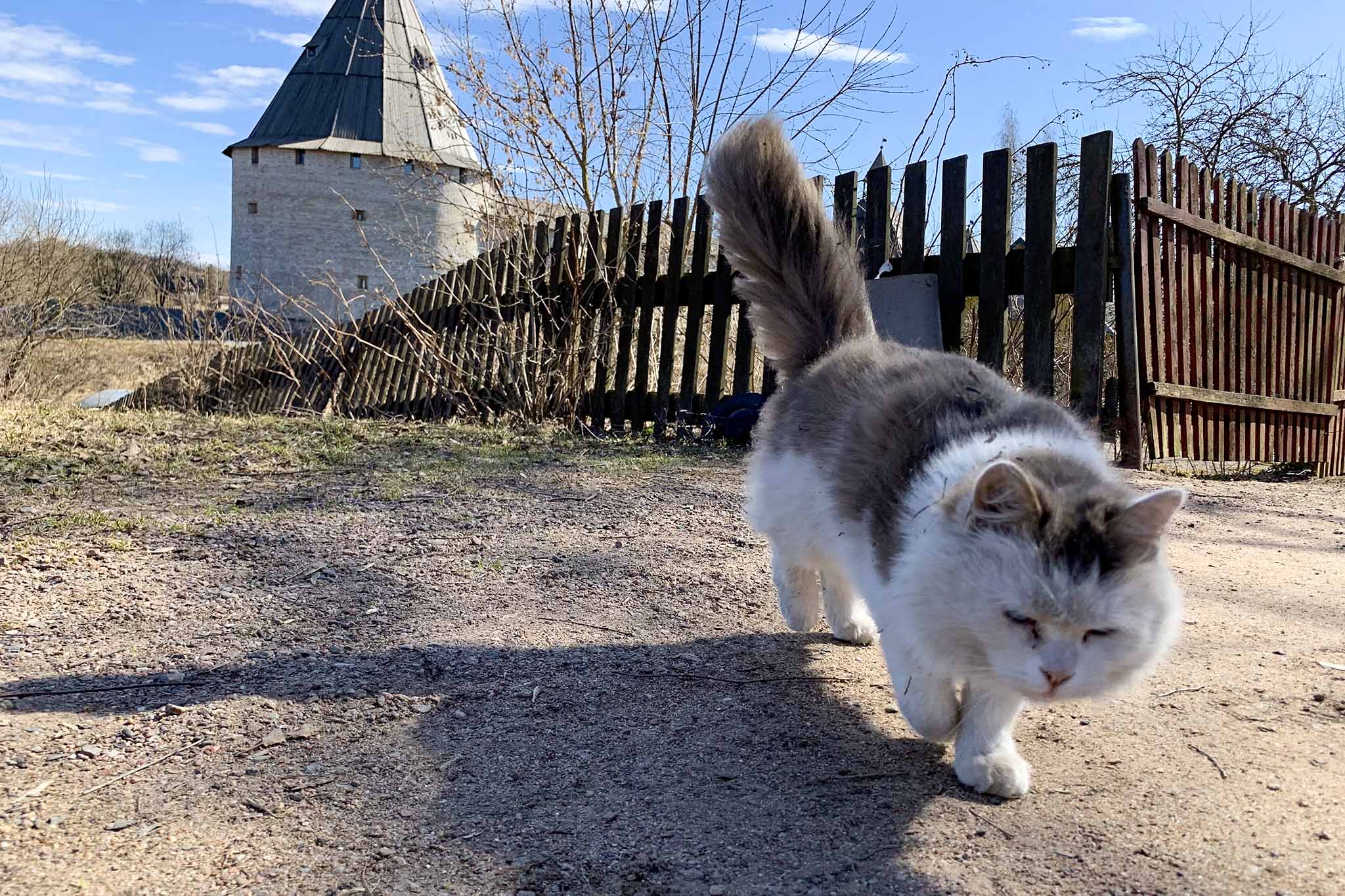 Евгений Федюнькин. Склока о полку Игореве