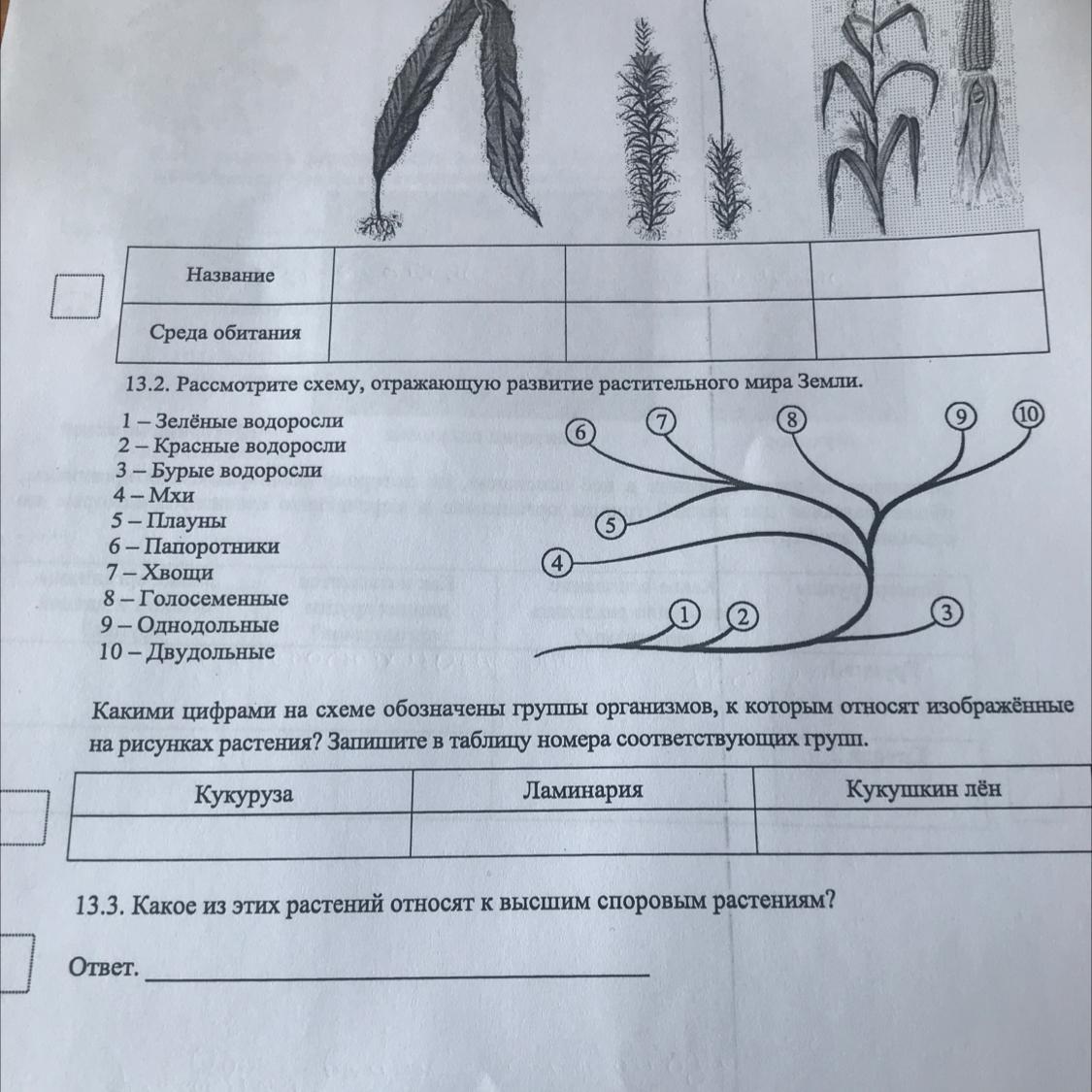 География 7 класс. 10 вариантов