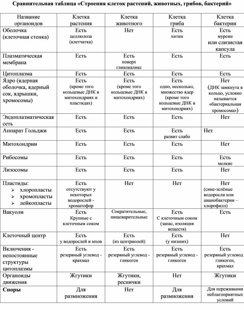 Общий план строения растительной и животной клеток