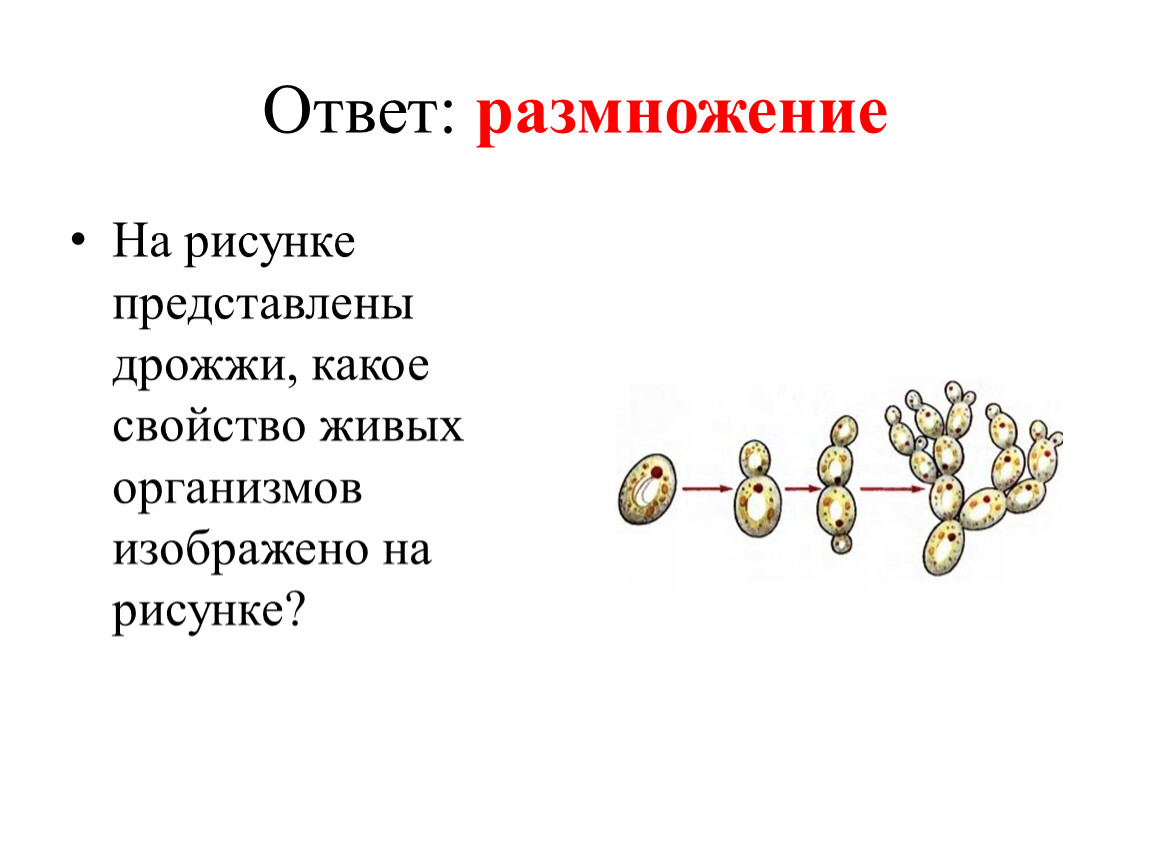 Гражданское право