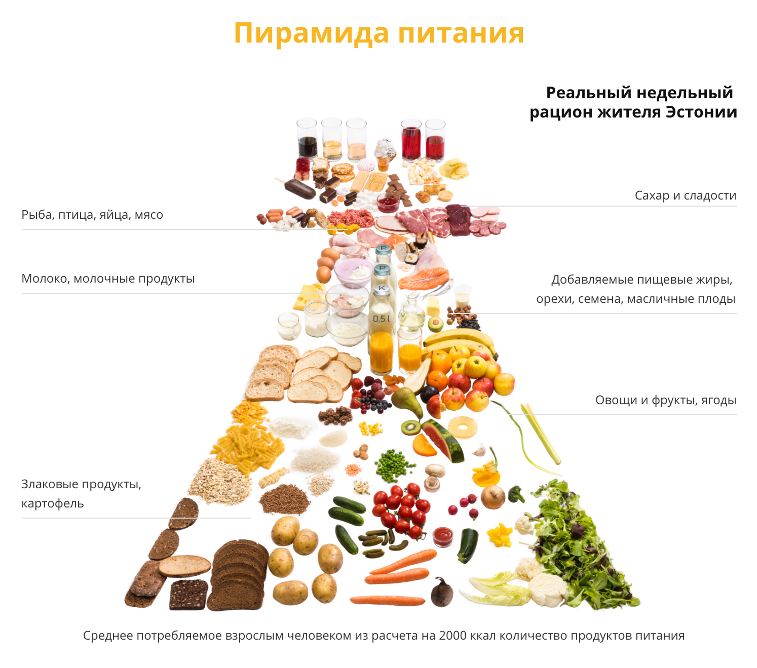 Картинки детей, иллюстрации Мы за ЗОЖ