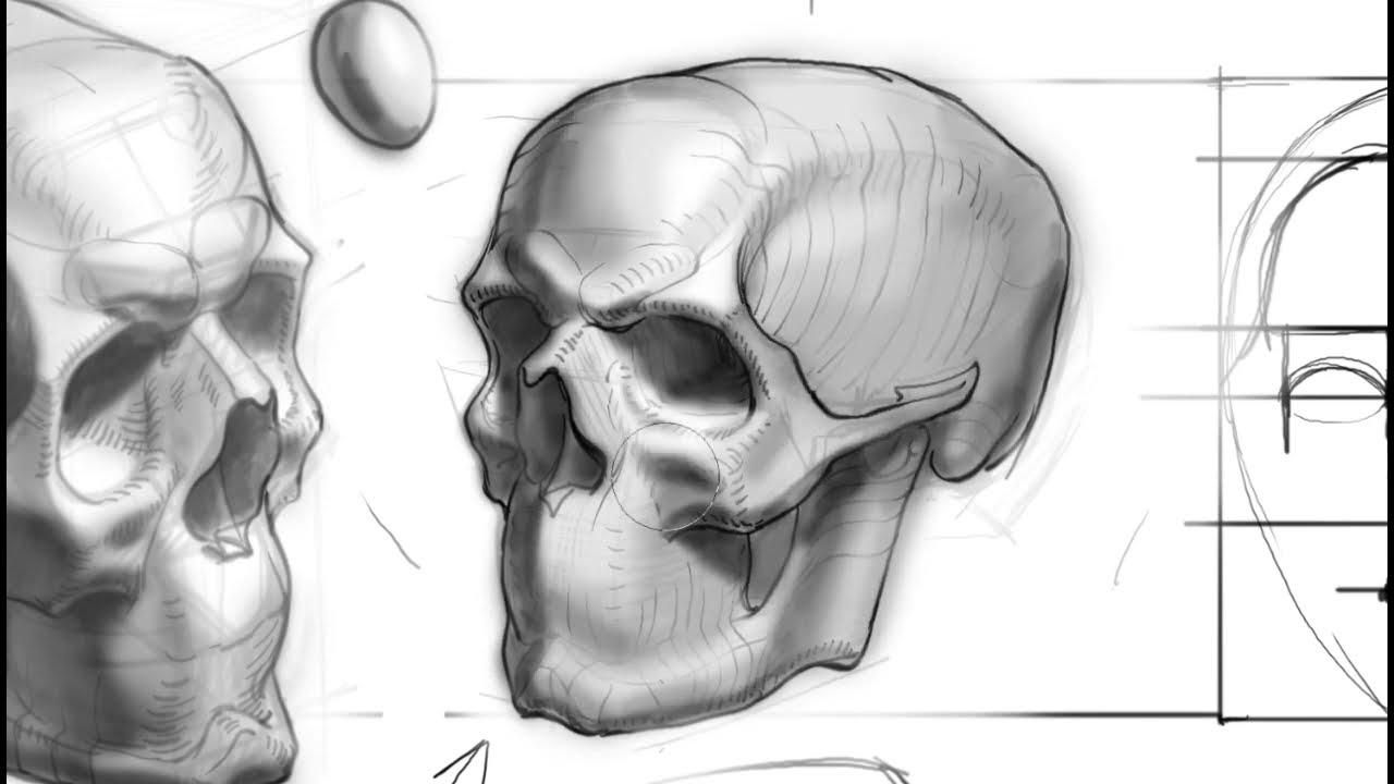 Скачать картинки Череп рисунок карандаш