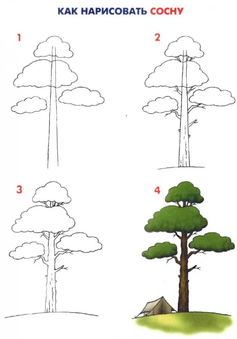 Educational video for children LEARN to DRAW a TREE