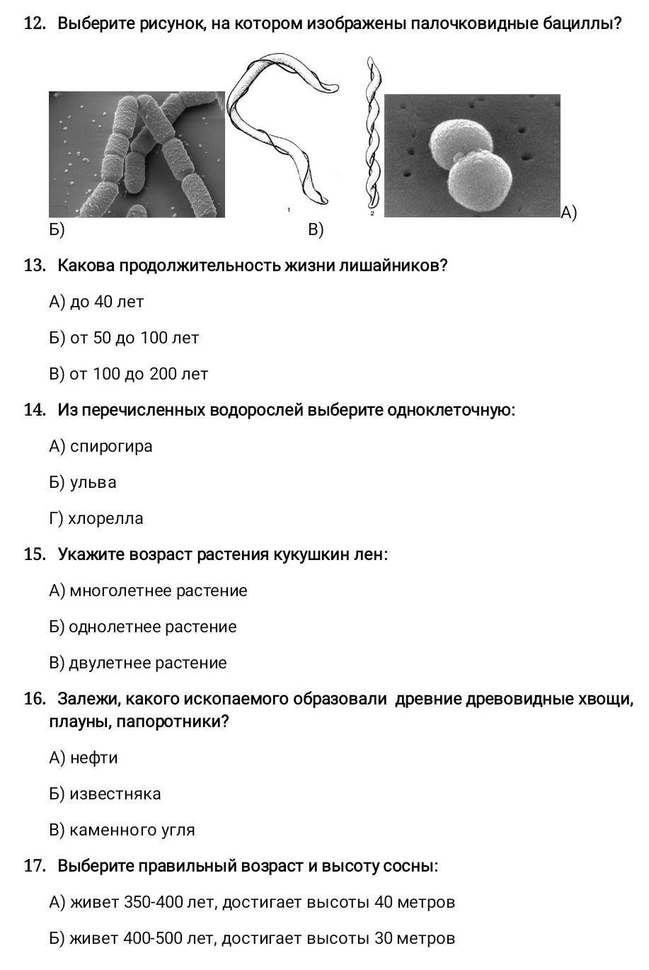 Леса и их многоцелевое использование на северо