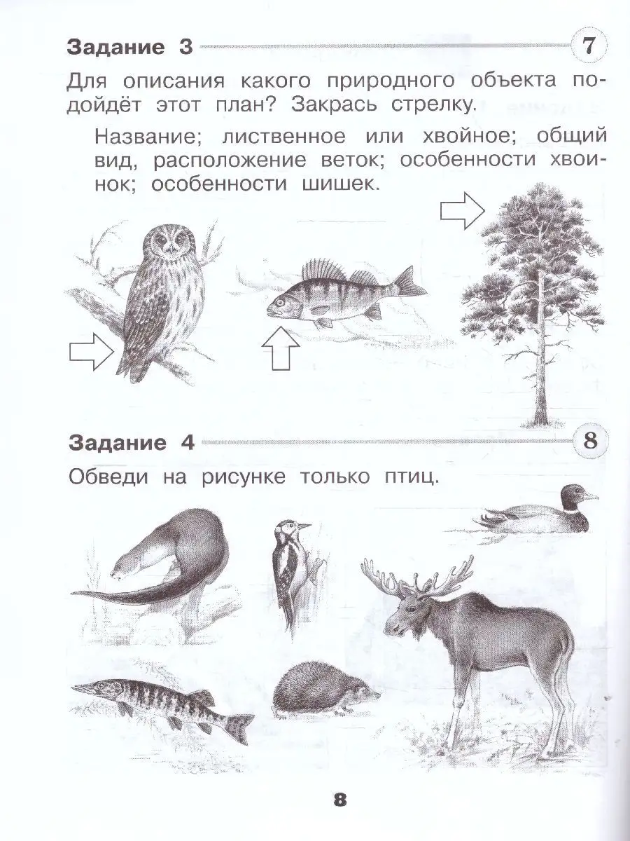 Поделки из шишек: 75 интересных и