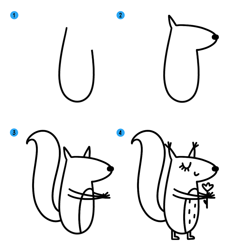 Как нарисовать белку поэтапно для