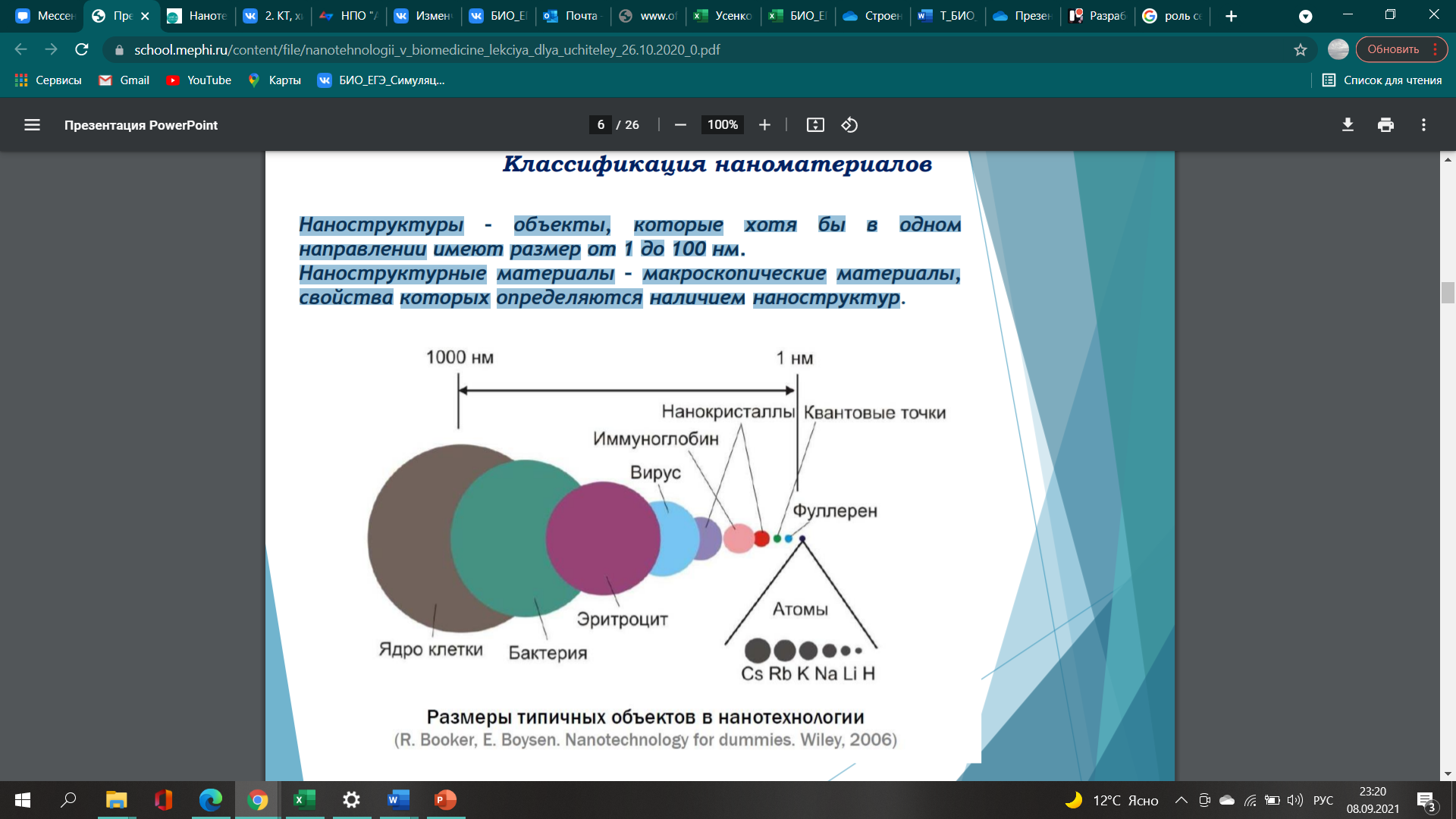 Как нарисовать животную клетку: 11 шагов