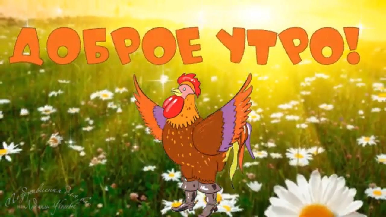 Утро☀️/Петушок🐓