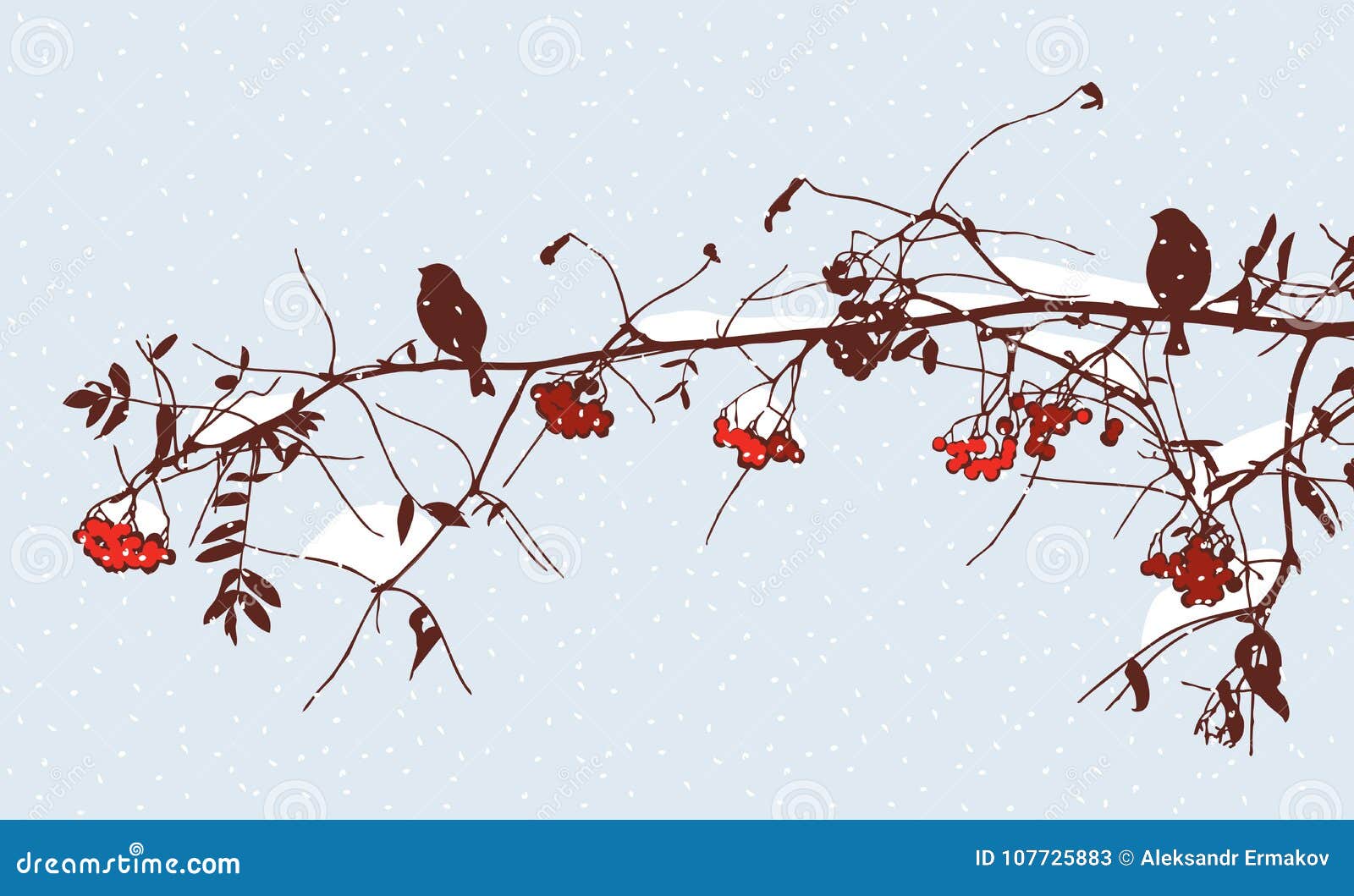 Рисунок Ilex Branches акварели.. Красный Winterberry. Завод