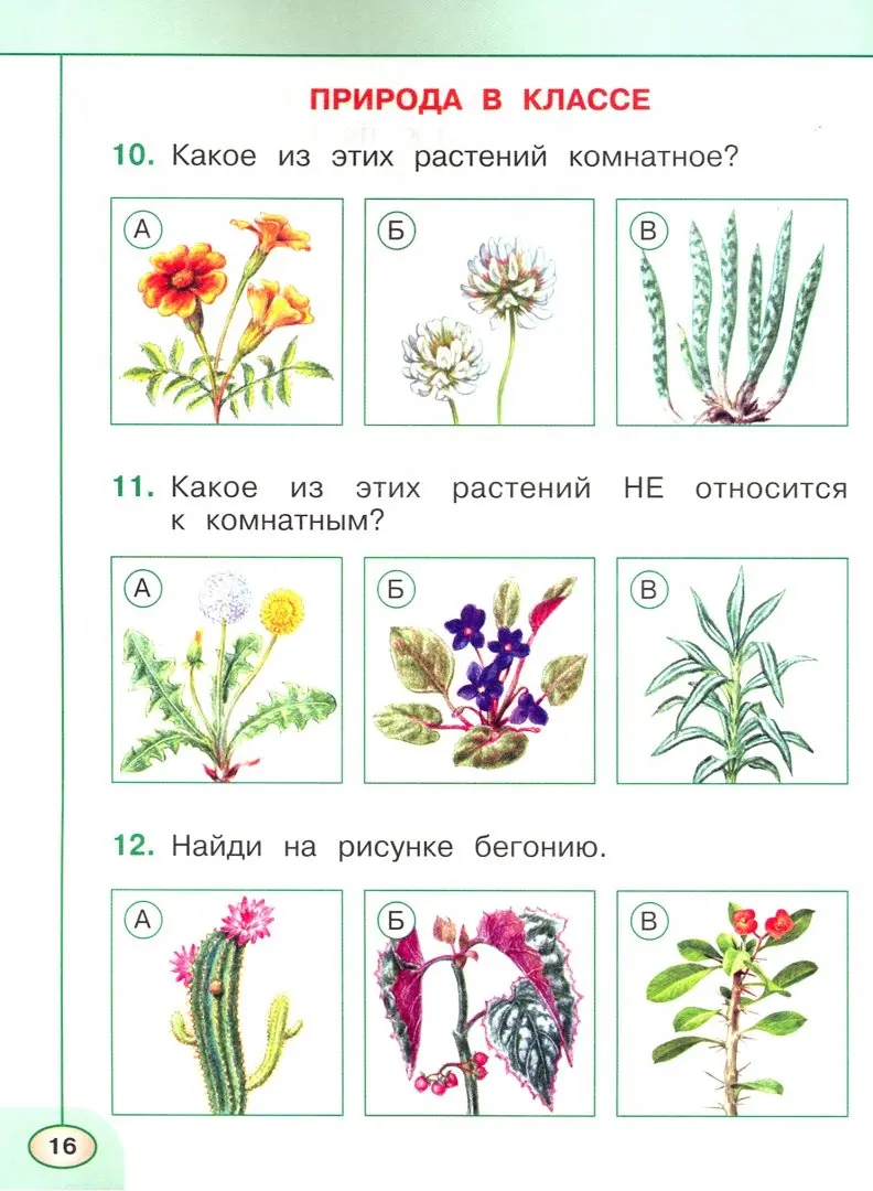 Иллюстрация 5 из 5 для Всероссийская