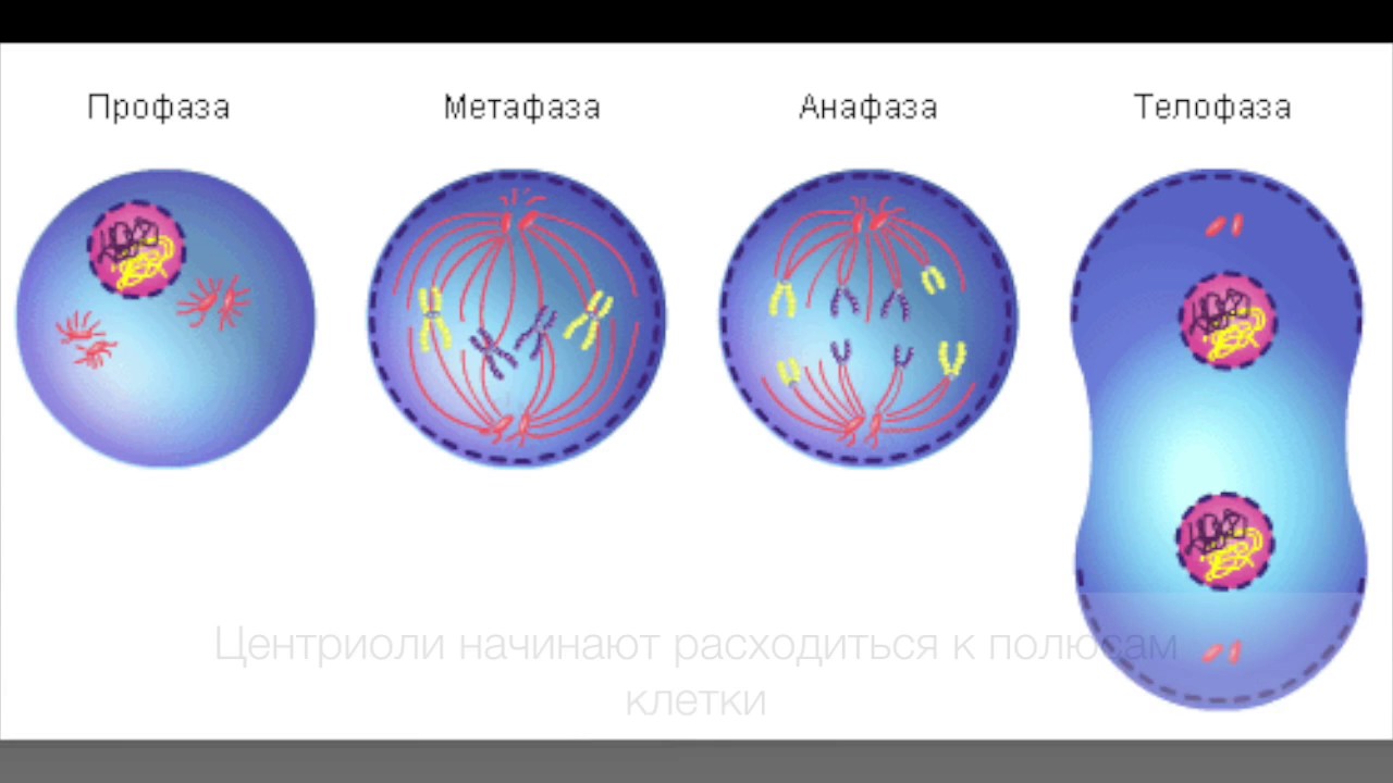 Задание №5