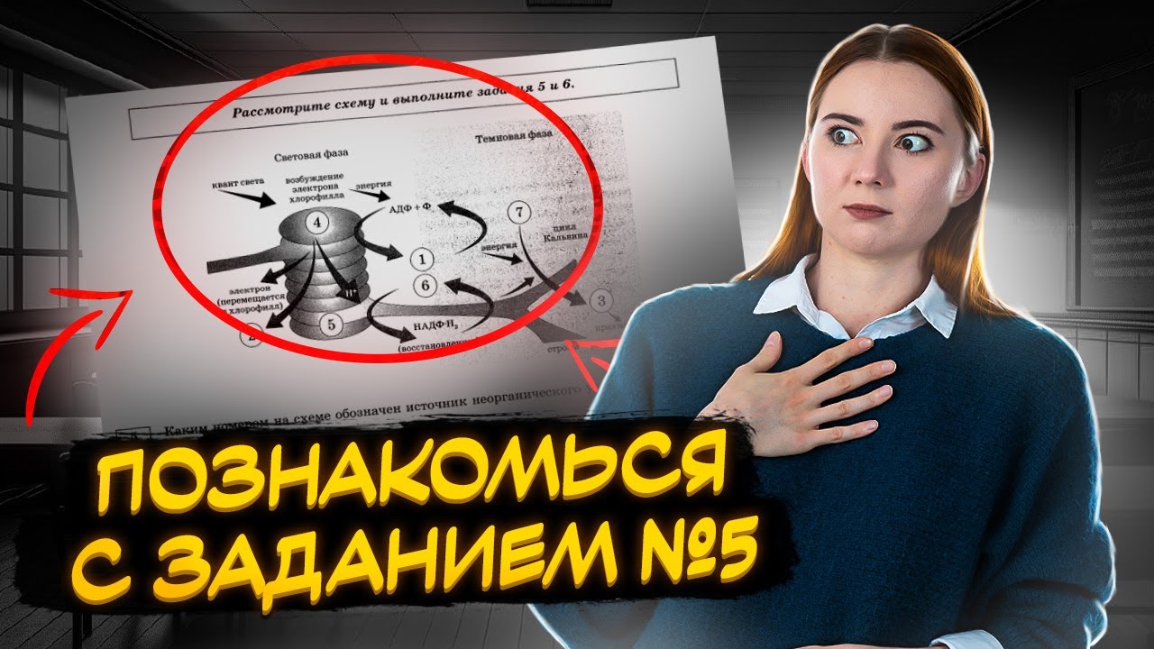 ВСЕРОССИЙСКАЯ ОЛИМПИАДА ШКОЛЬНИКОВ ПО ГЕОГРАФИИ. 2020–2021 уч