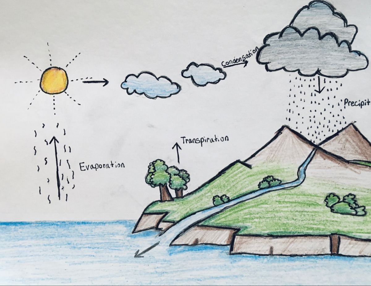 Рисунки детские про воду – Картинки о