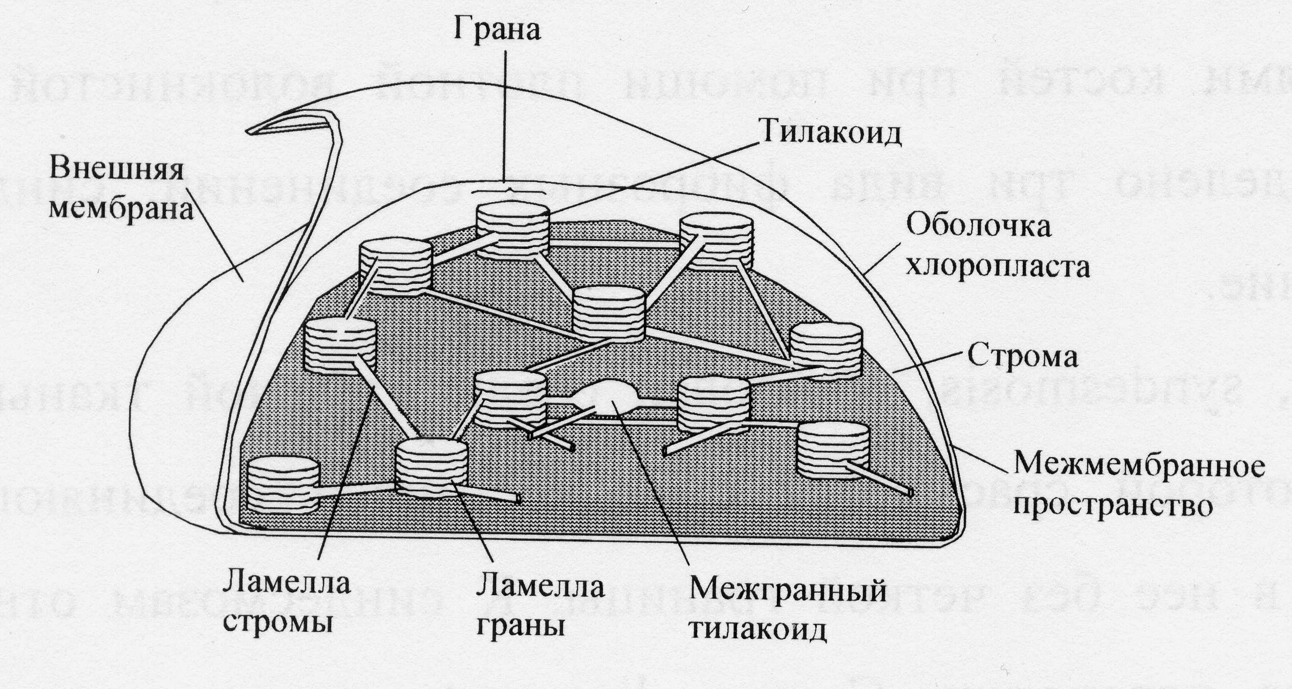 КАЗАНСКИЙ ФЕДЕРАЛЬНЫЙ УНИВЕРСИТЕТ Институт