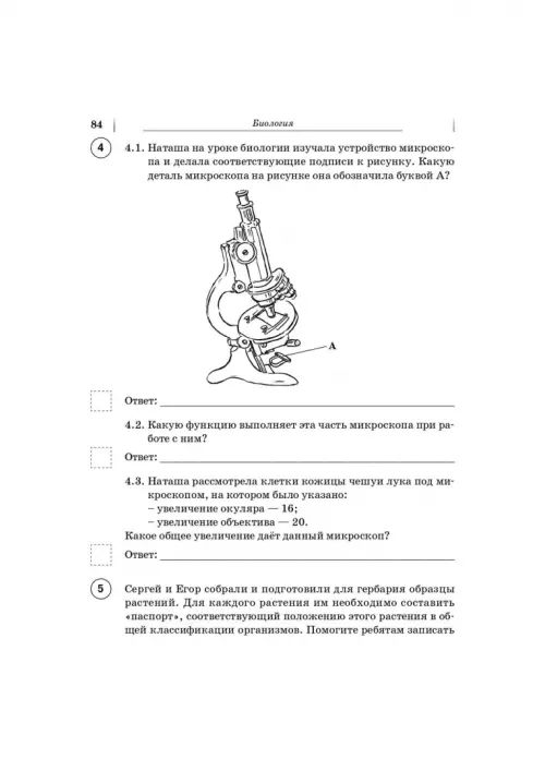 Растительная клетка рисунок поэтапно