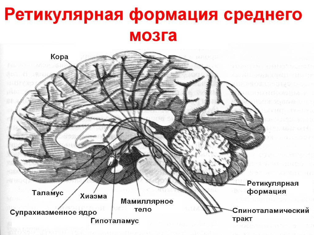 Практические подходы к лечению