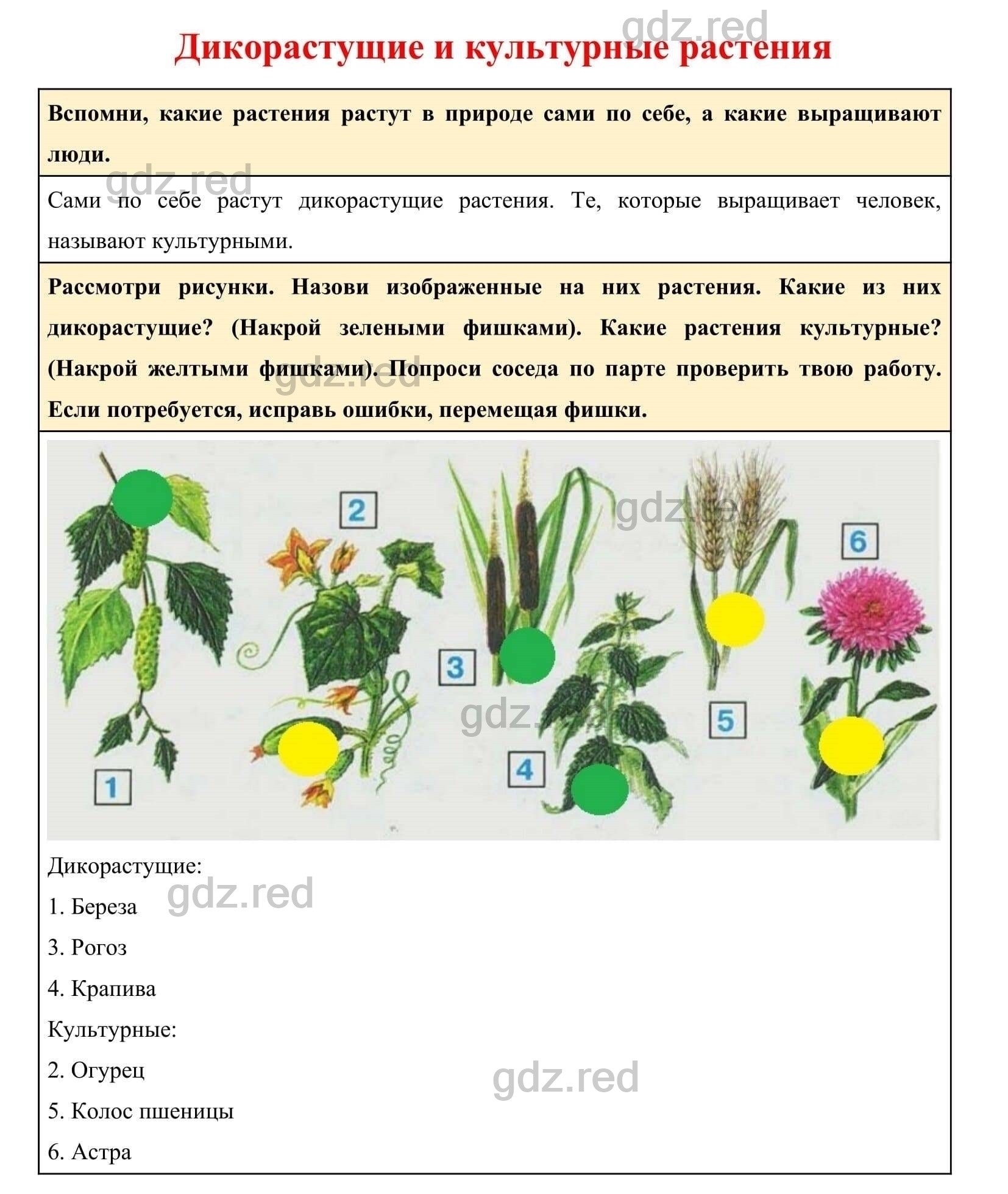 Книга: Литературное чтение. 2 класс