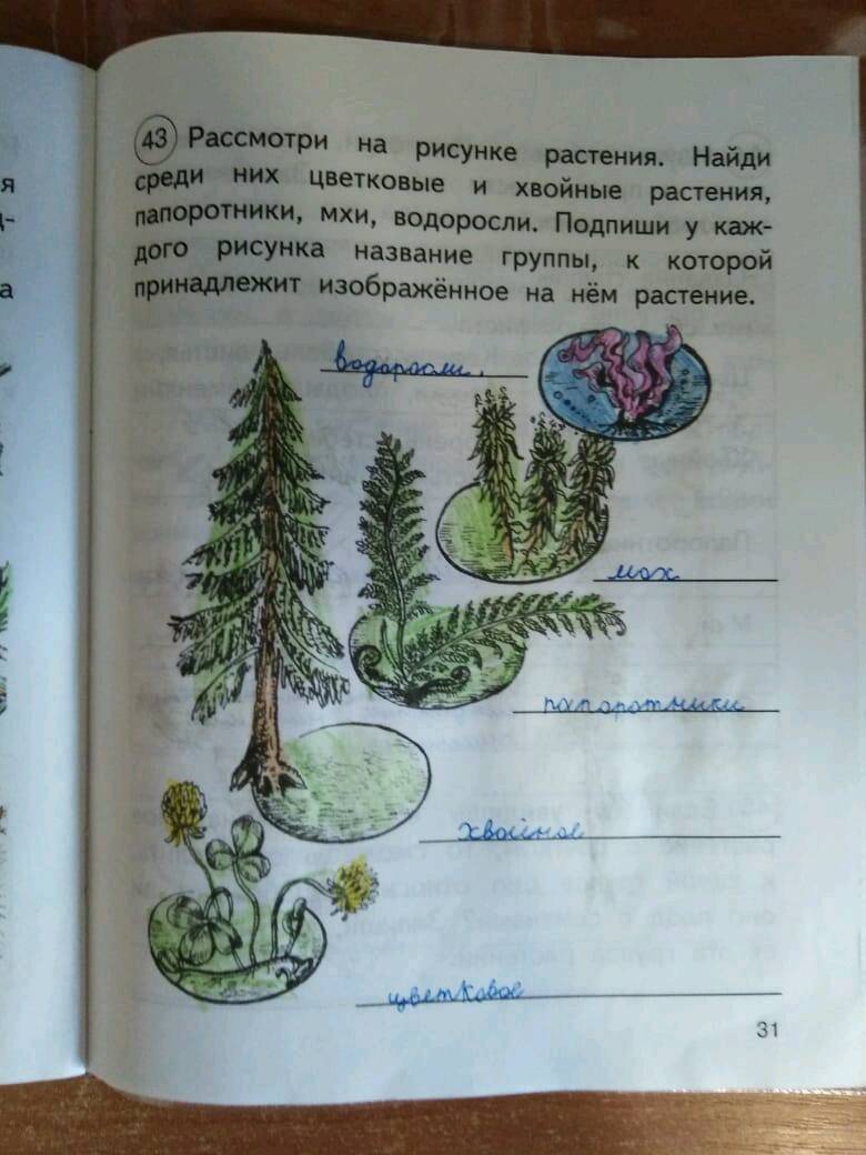 Простые рисунки на 8 марта, Пасху