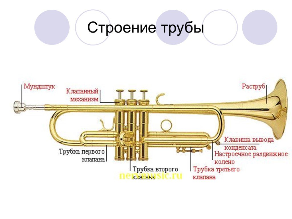 Детский музыкальный инструмент, Труба, 4 клавиши, играемая