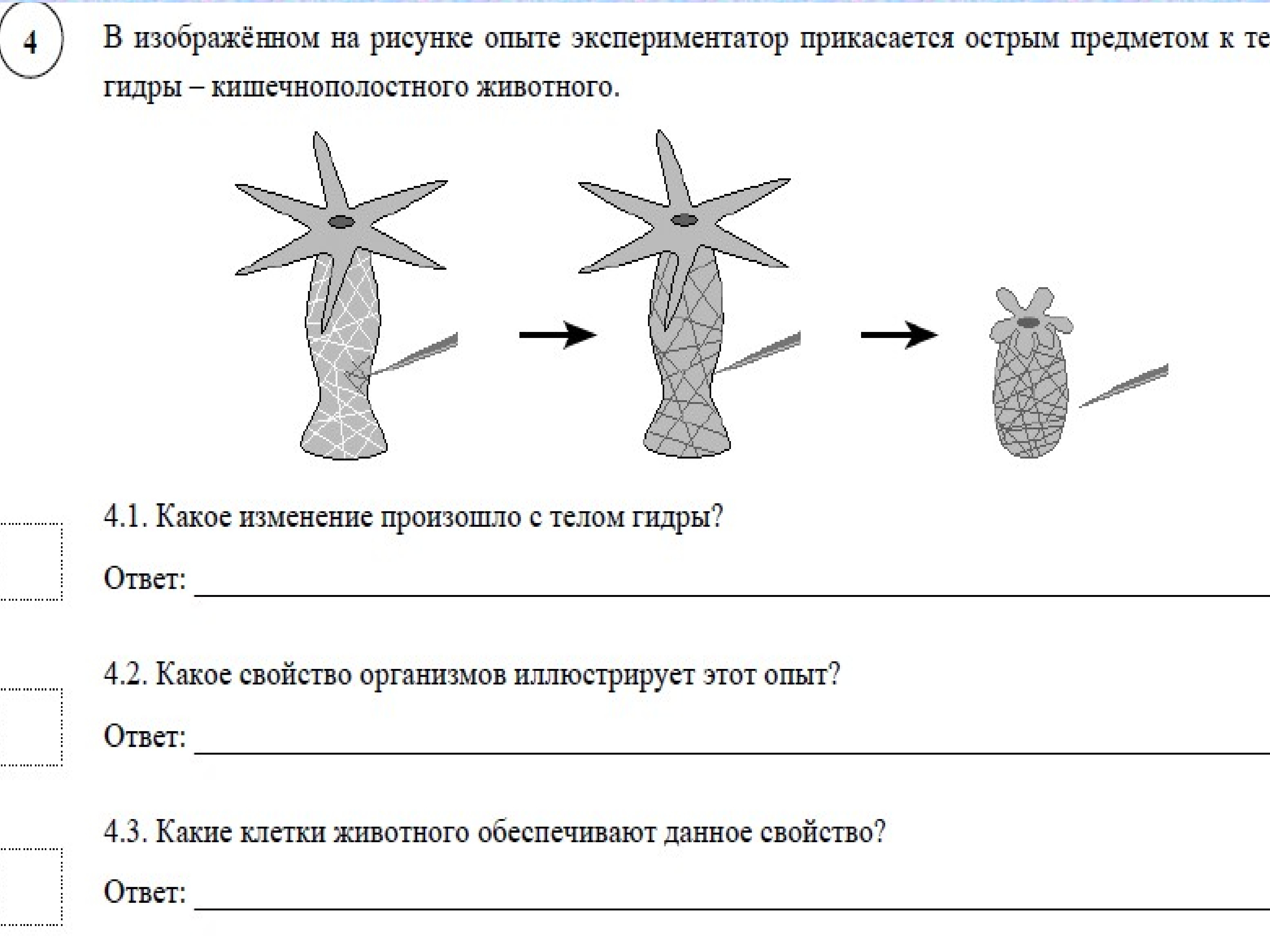 ТЕОРИИ, ШКОЛЫ И КОНЦЕПЦИИ УСТОЙЧИВОГО