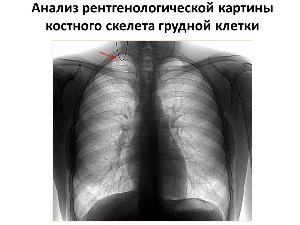 СПЕЦИАЛЬНЫЕ БИОЛОГИЧЕСКИЕ ПРОГРАММЫ