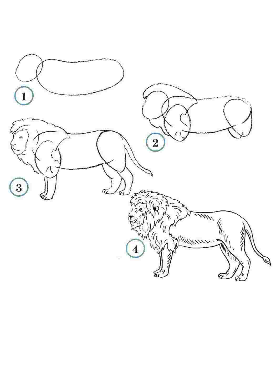 Нарисовать львенка из мультика