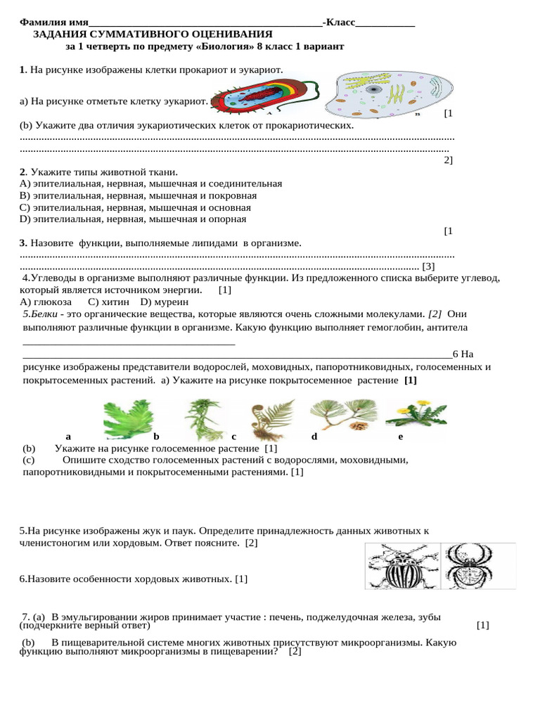 СОЧ № 1 | PDF