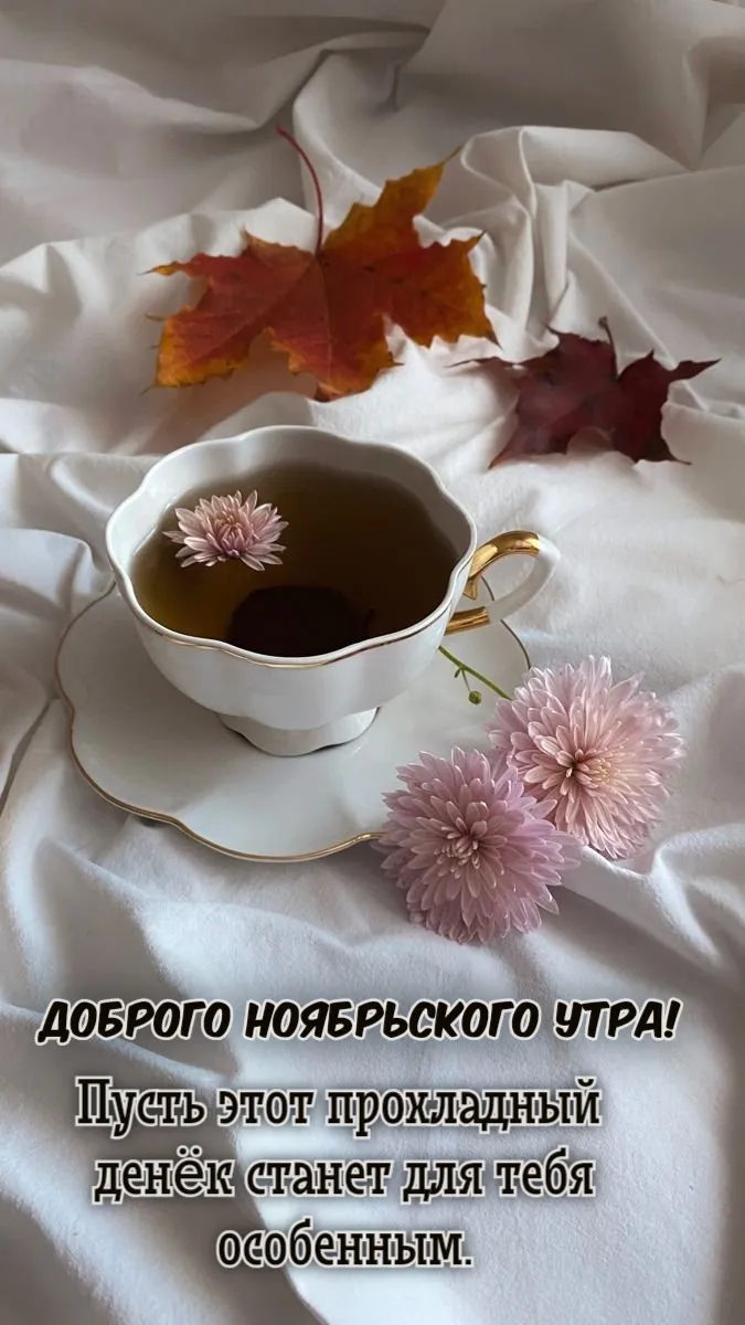 Открытки Доброго ноябрьского утра! 