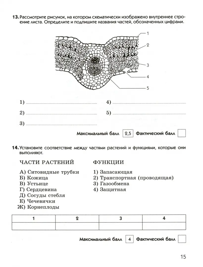 Рабочая тетрадь по биологии 6 класс. Биология. Бактерии