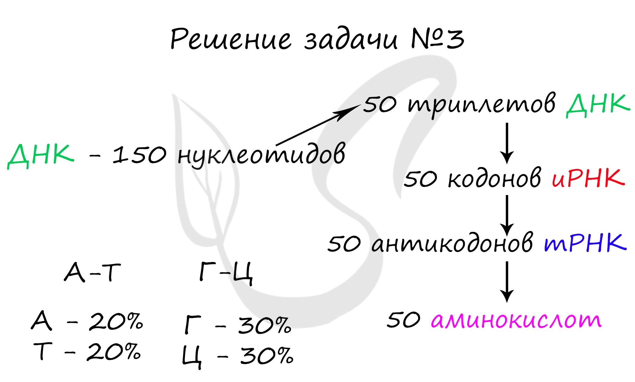 Транскрипция на английском: как научиться читать и произносить