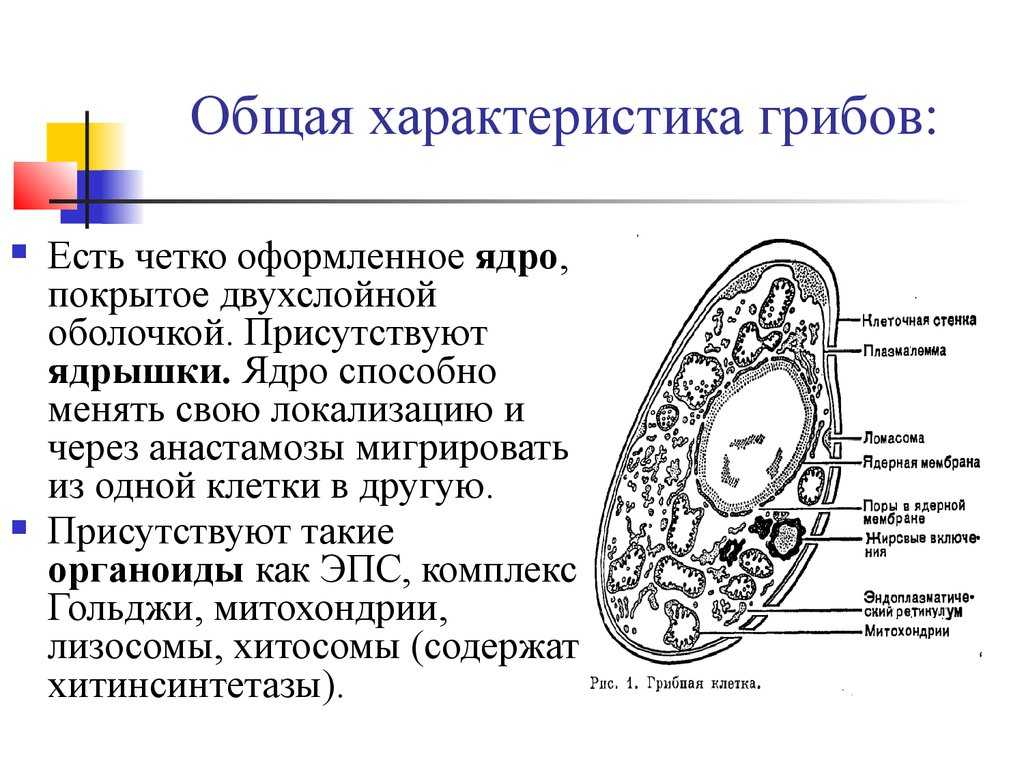 Задания 9