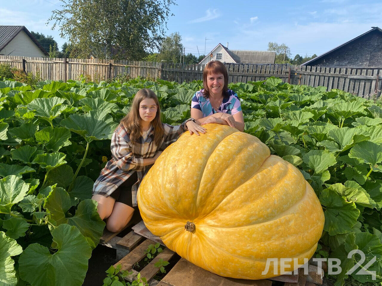 Врач рассказала, в чем польза тыквы