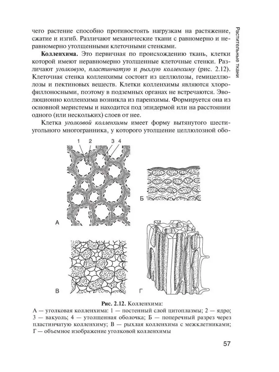 Механические ткани Википедия