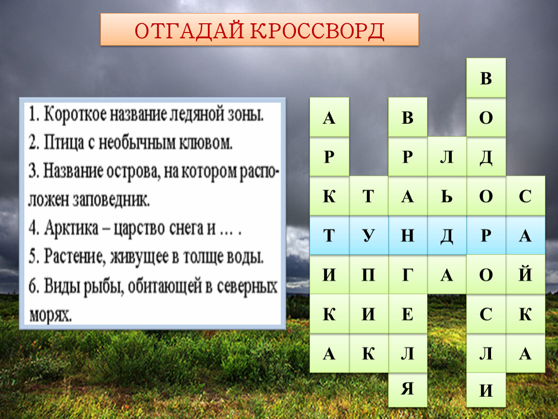 🟥 Заметки для презентации №3 по теме