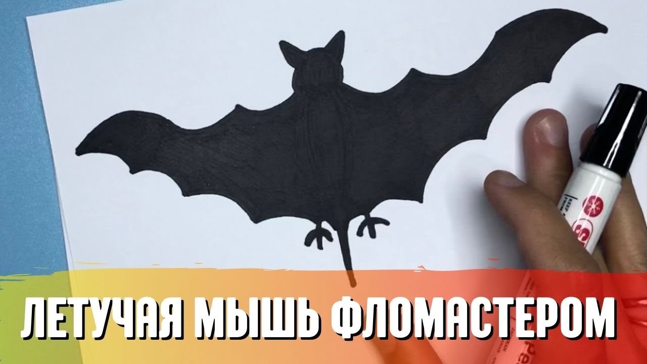 Летучая мышь рисунок поэтапно