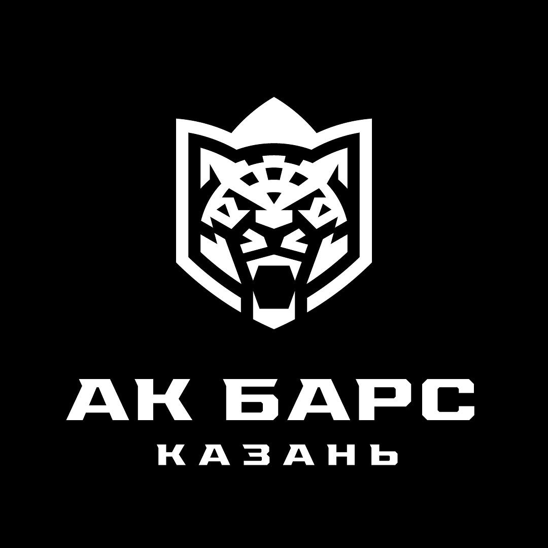 ак барс лого