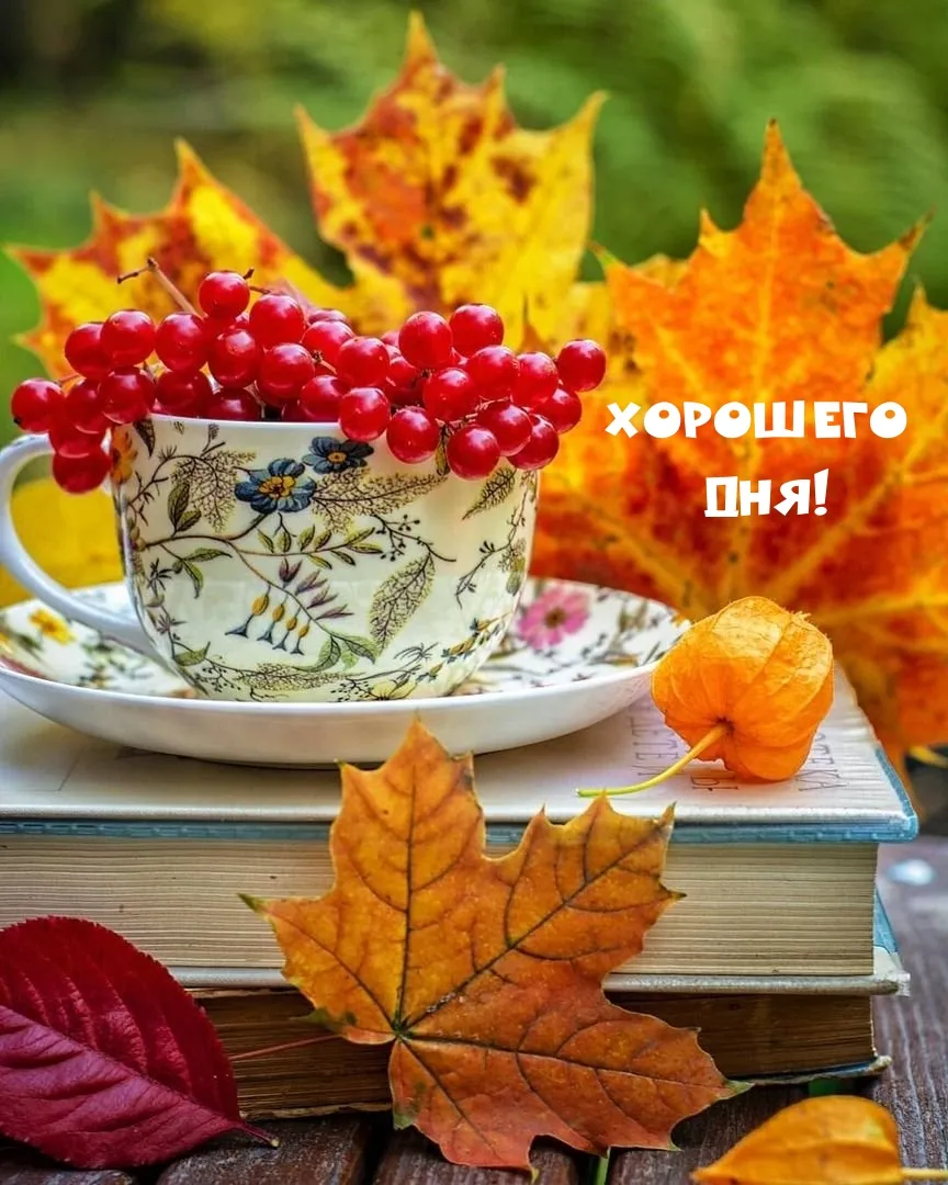 Картинки с добрым утром природа осень