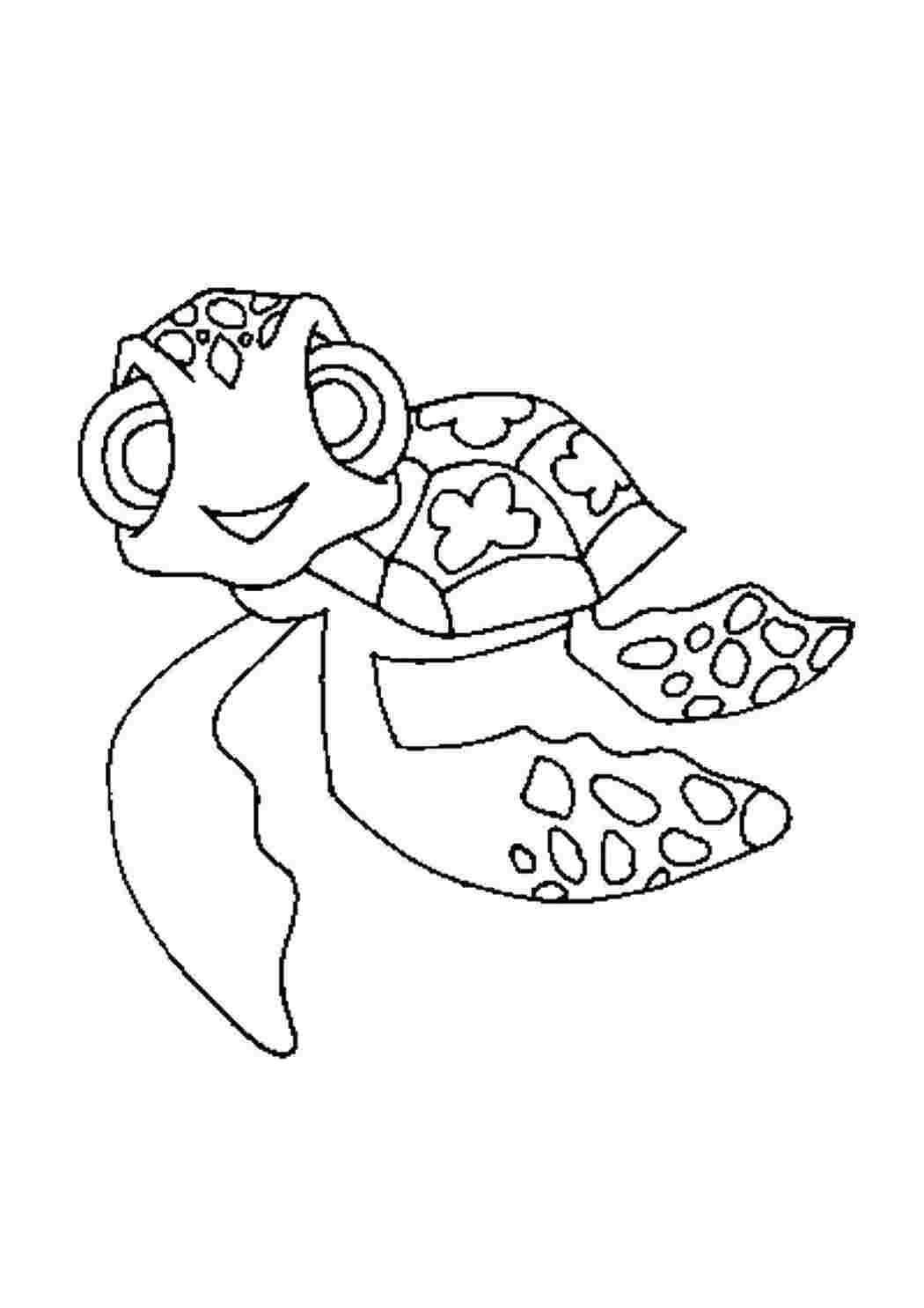 Caretta Caretta