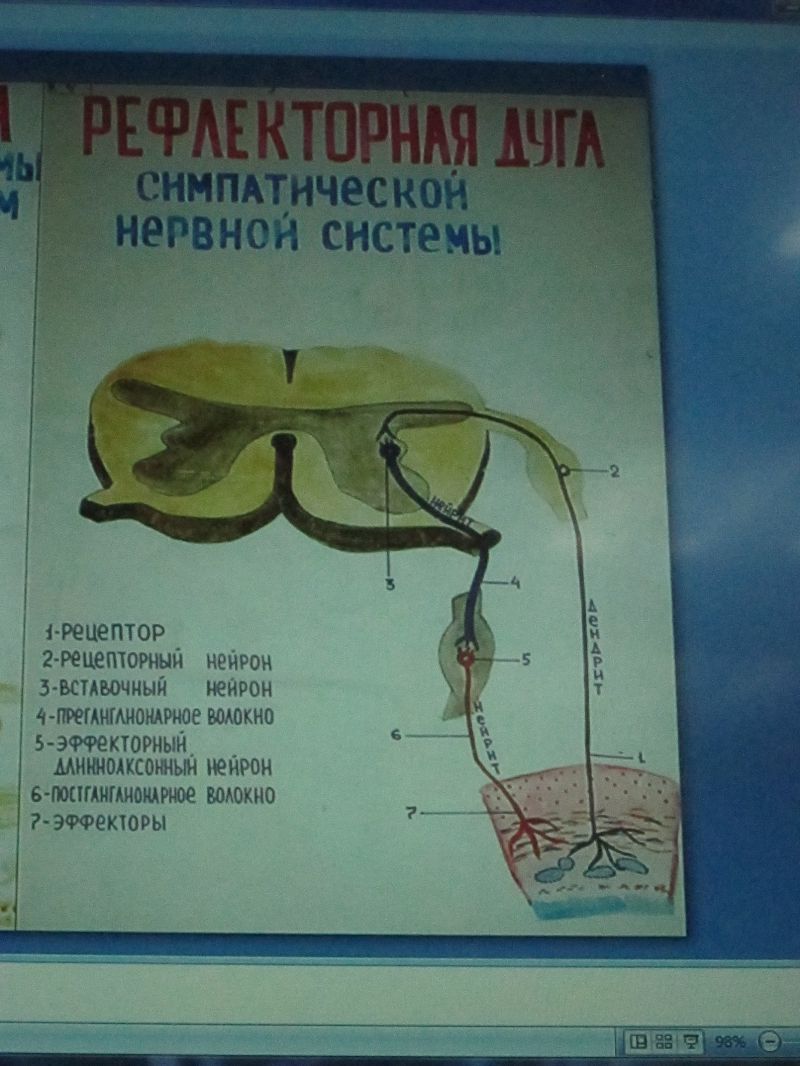 Челноков ., Гладченко ., Н