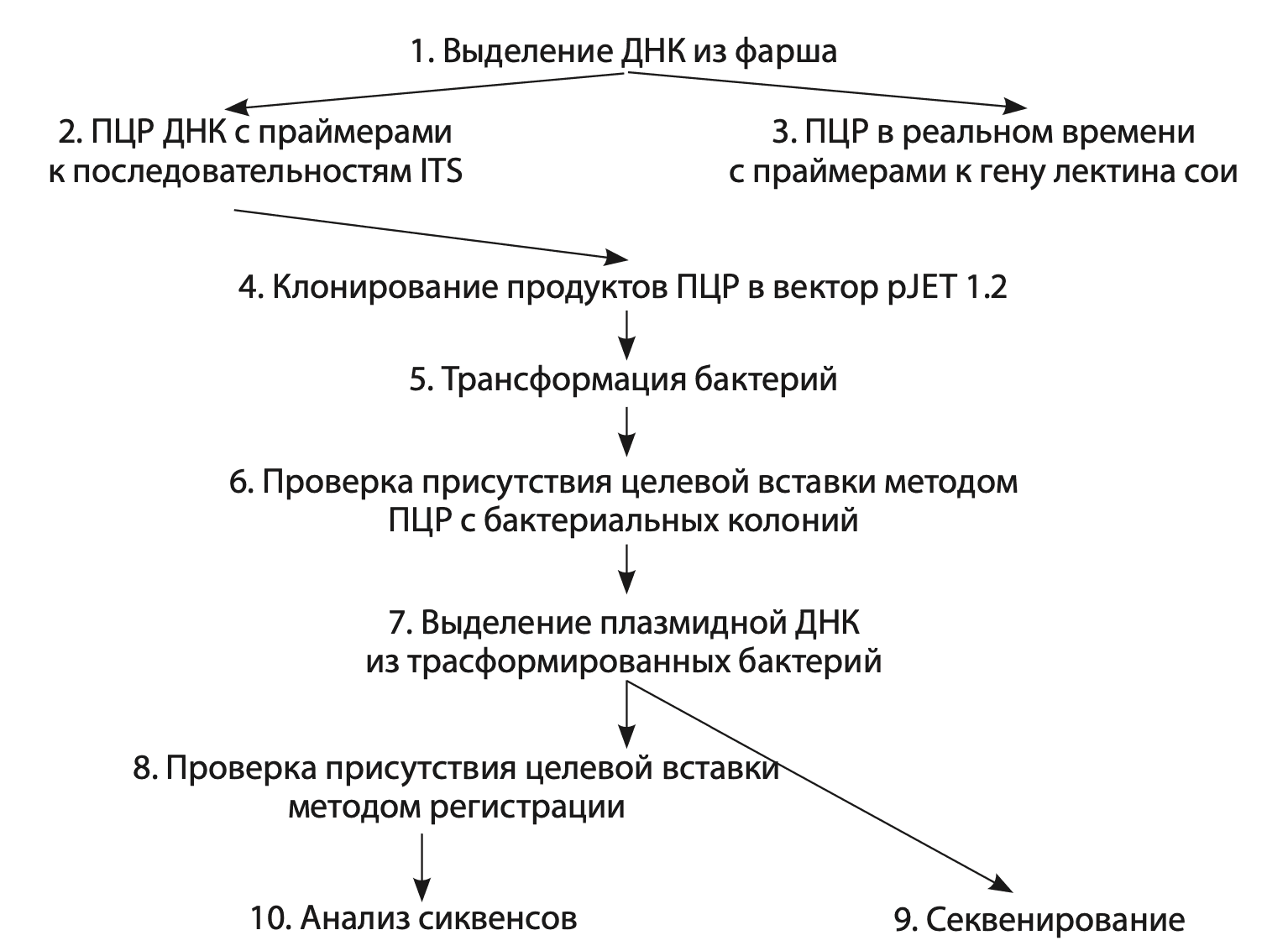 Скримшоу, или Гравировка на бивне